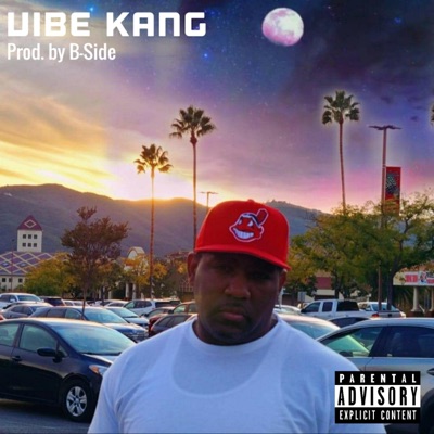 Vibe Kang - Single