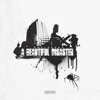 A Beautiful Disaster - DreLee863