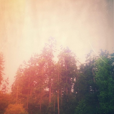 Treetops - Single