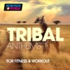 Tribal Anthems For Fitness & Workout (15 Tracks Non-Stop Mixed Compilation for Fitness & Workout 128 Bpm / 32 Count)