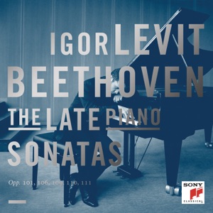 Piano Sonata No. 32 in C Minor, Op. 111: II. Arietta. Adagio molto semplice e cantabile