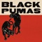 Stay Gold - Black Pumas lyrics