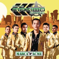 Marca Acme - Grupo Maximo Grado