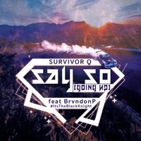 Say So (feat. Brvndonp) - Single - Survivor Q