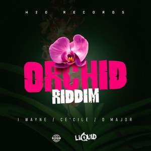 Orchid Riddim - Single