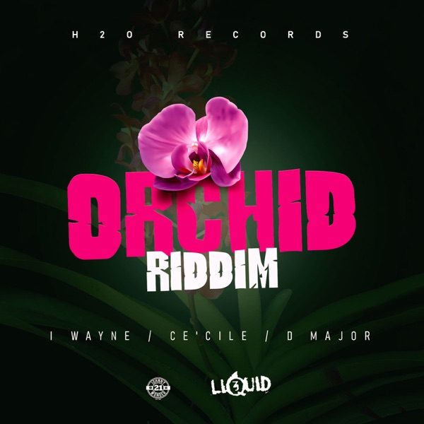 Orchid Riddim - Single