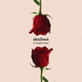 akaibara (feat. Stupid Lemon) ZB Flips
