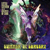 Little Steven - Love Again (feat. The Disciples of Soul)