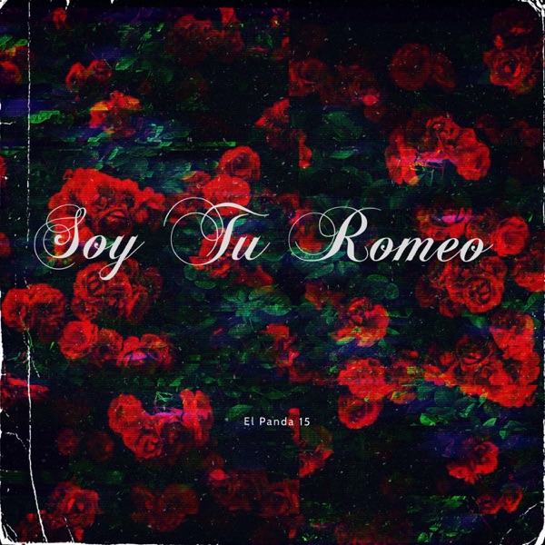Soy Tu Romeo