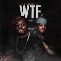 Wtf - Single - Ray Delavega