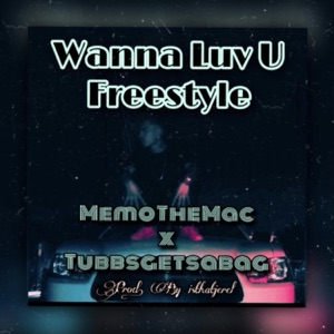 Wanna Luv U (Freestyle) [feat. TUBBSGETSABAG]