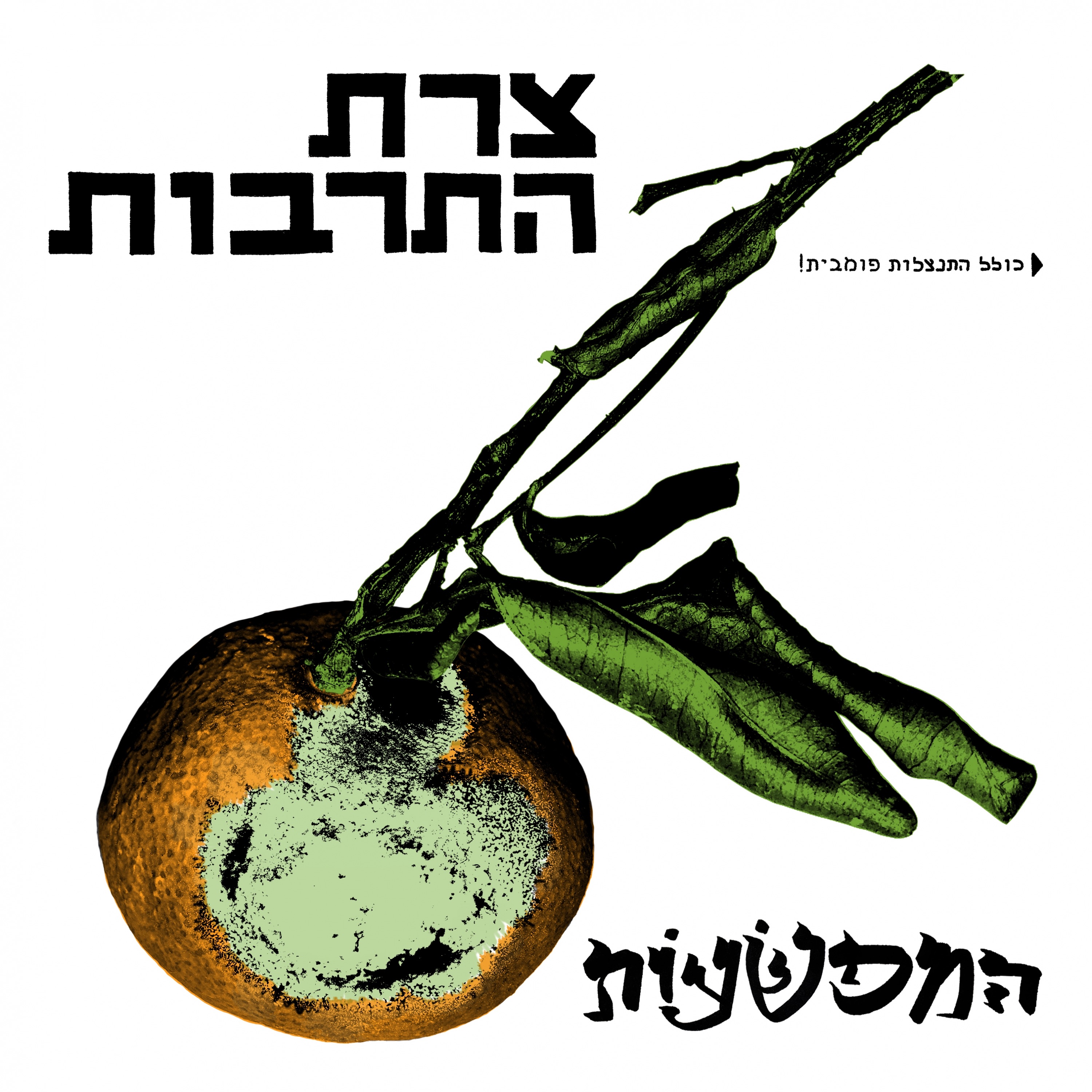 צרת התרבות - Single