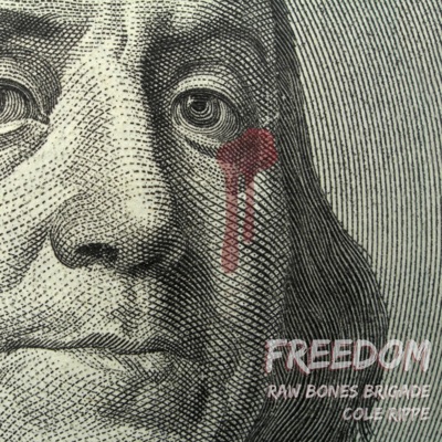 Freedom (feat. Cole Rippe) - Single