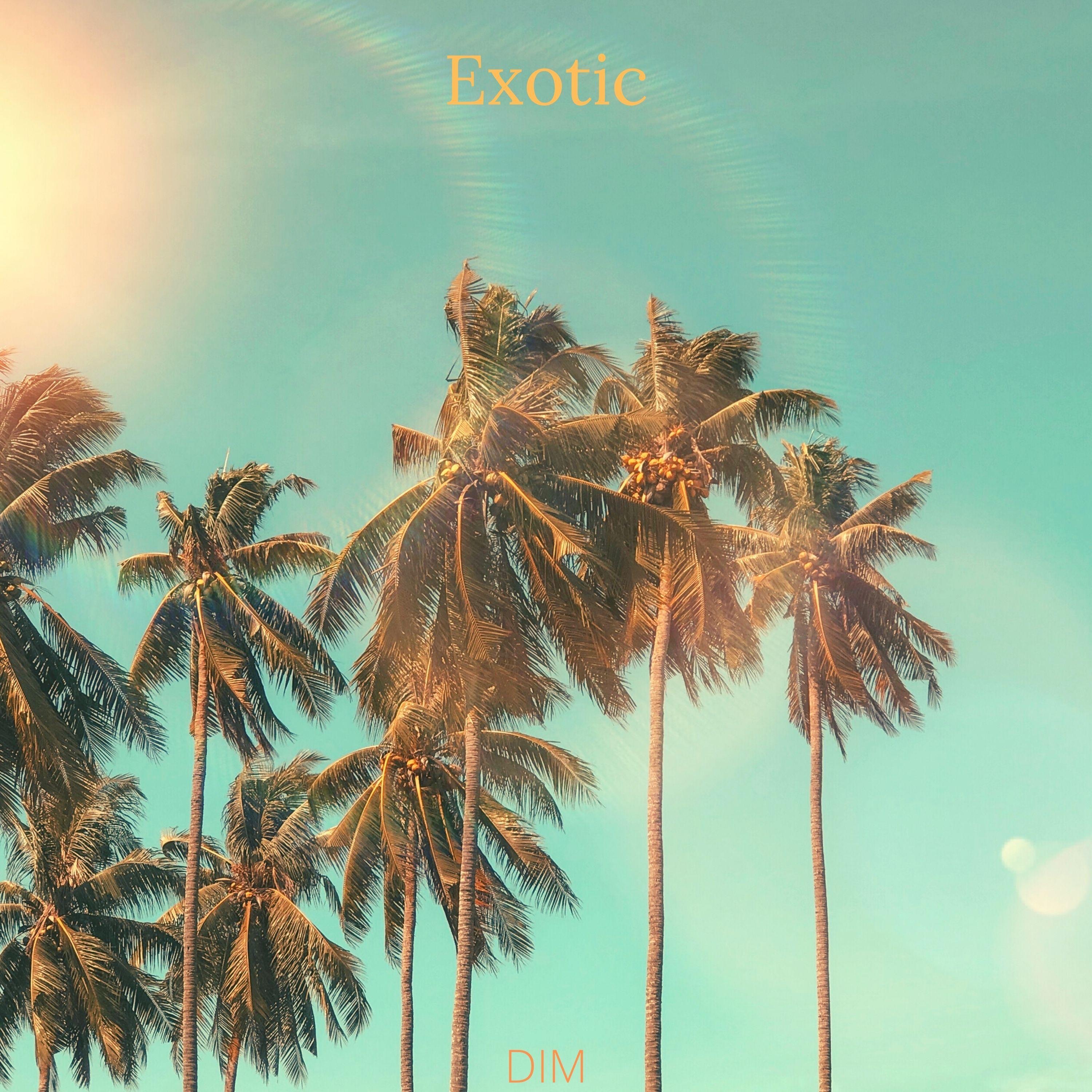 Exotic - Single