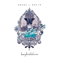 KAYBOLDUM (feat. Katip) - Single - Arcey