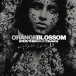 Orange Blossom - Habibi