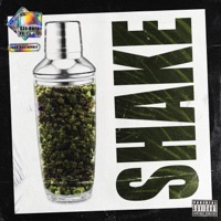 Shake (feat. Le Jin) - Single - Gee Raff