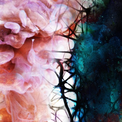 Entropy