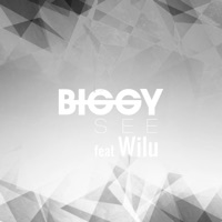 Sztos (feat. Wilu) - Single - Biggy See