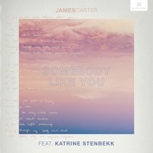 Somebody Like You (feat. Katrine Stenbekk) artwork