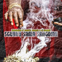 Sghubu Sama Sangoma (feat. Boontle, Magesh & Dj Shampli) - Single - Homeboii99
