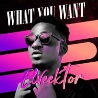 What You Want - Single - Elveektor