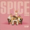 Ain't No Stopping Us Now (feat. Luther Vandross) - Spice Girls lyrics
