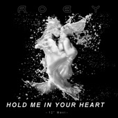 Hold Me in Your Heart (Radio Mix) [Radio Edit] artwork