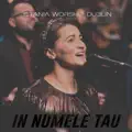 NUMELE  TĂU