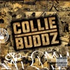 Collie Buddz album cover