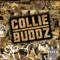 Wild Out - Collie Buddz lyrics