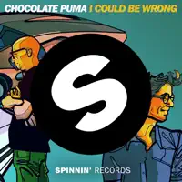 I Could Be Wrong — Chocolate Puma