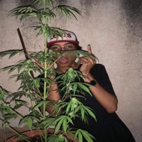 Mierda Dx$il - Single - Sangre2YB