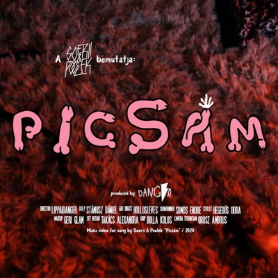 Picsám - Single
