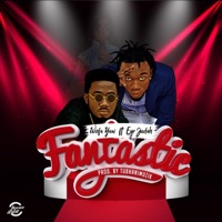 Fantastic (feat. Eye Judah) - Single - Wofa Yaw