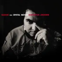 Destination Unknown (feat. Crystal Waters) [Nari & Gaudino Radio Edit]