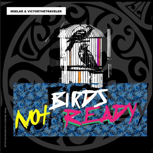 Birds Not Ready