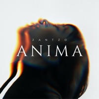 Anima - Single - Zantzo