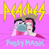 Pussy Mask artwork