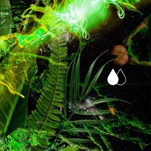 H2o2 - Single