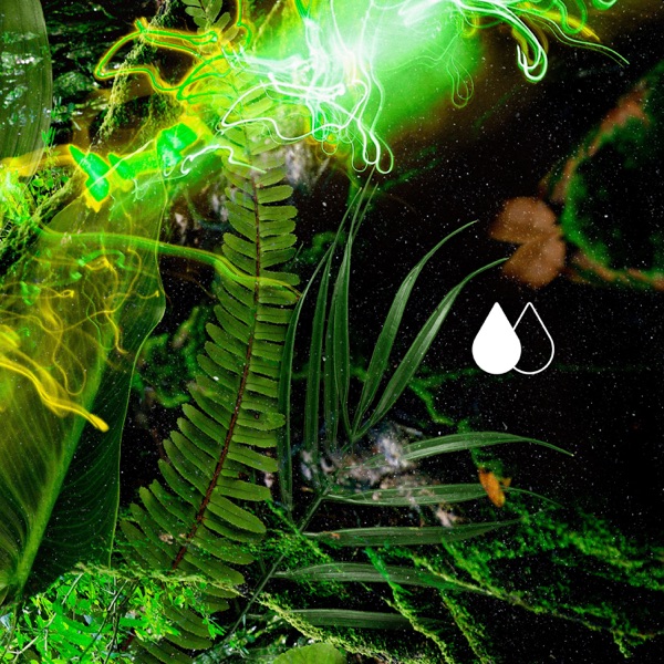 H2o2 - Single