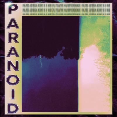 Paranoid (Slowed & Reverb) - Single