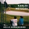 Hello Hummingbird - Karlee Metzger lyrics
