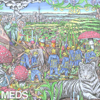 Meds - EP (1) - Mt. Eden