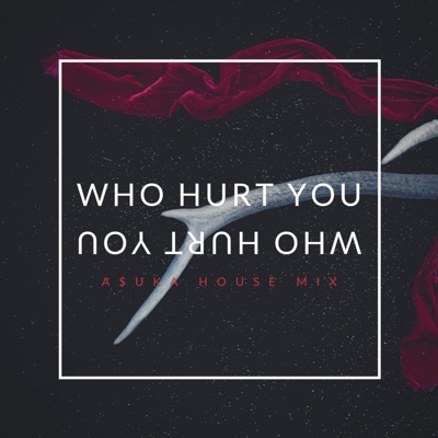 Who Hurt You - Single