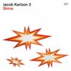 Jacob Karlzon 3