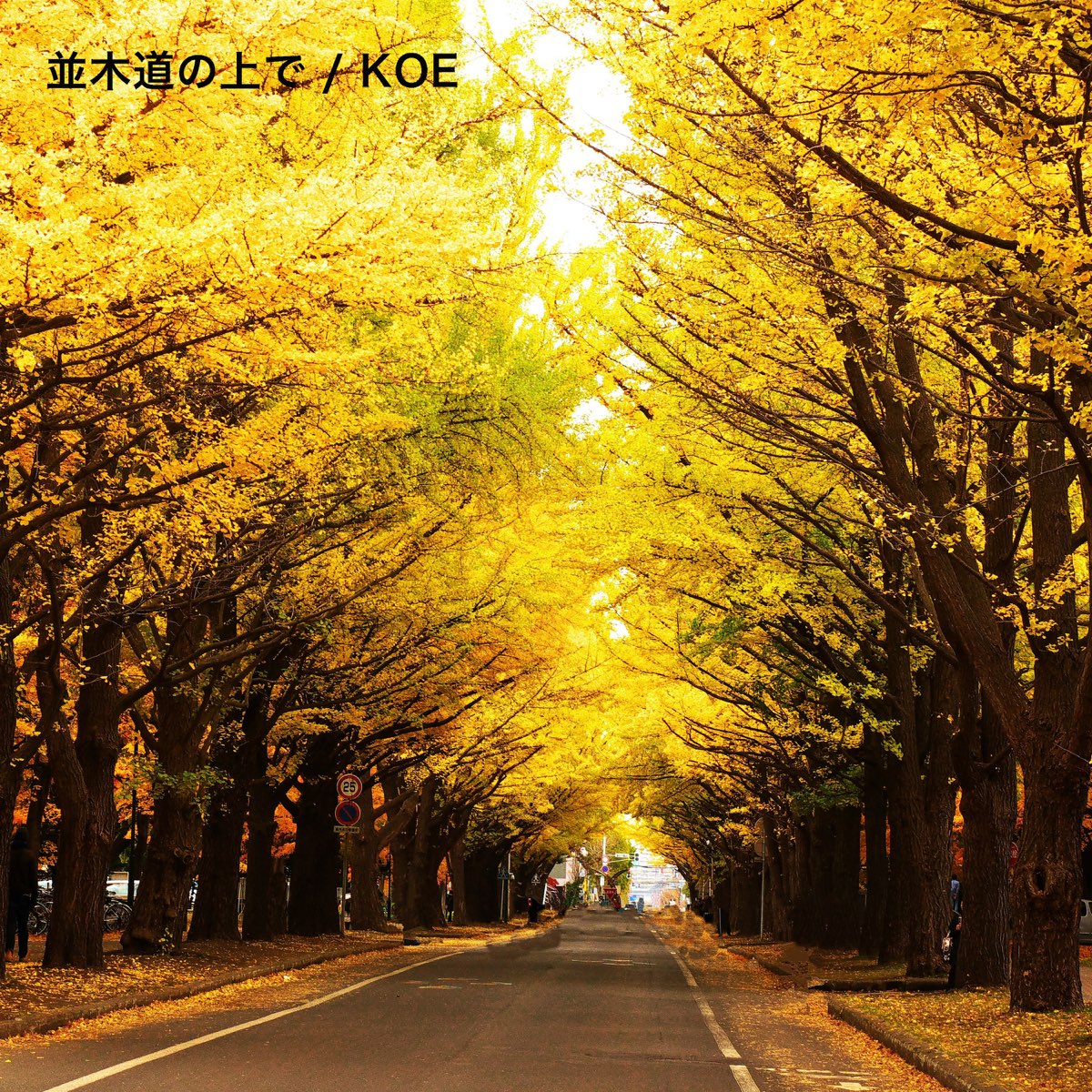 On A Tree Lined Road Single By Koe On Apple Music On A Tree Lined Road Single By Koe On Apple Music