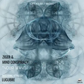 Your Way (Original) by Ziger & Mind Conspiracy song reviws