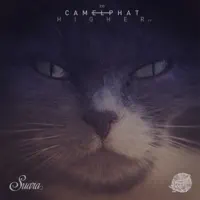 Reverse It — CamelPhat