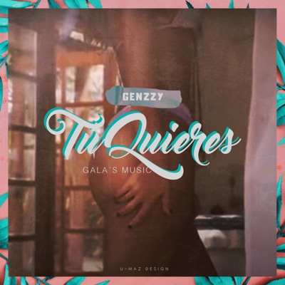 Tu Quieres - Single